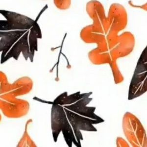 Meet your Posher, Isabellah